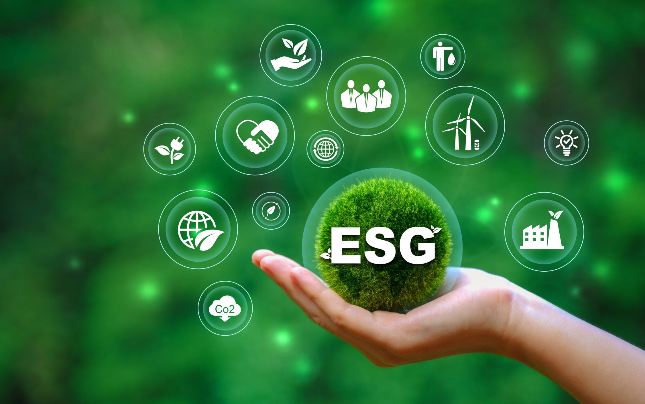 Doanh nghiệp sản xuất là nhóm chịu áp lực dữ liệu ESG sớm nhất, do nằm trực tiếp trong chuỗi cung ứng của các nhãn hàng quốc tế.