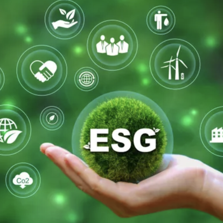 Lãnh đạo Bền vững & ESG